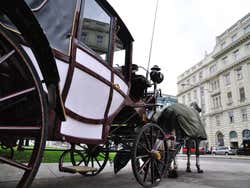 Carrozza Fiaker