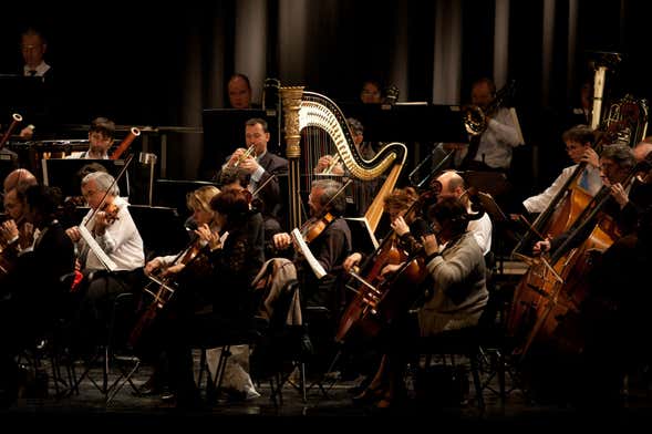 Castello di Schönbrunn con cena e concerto